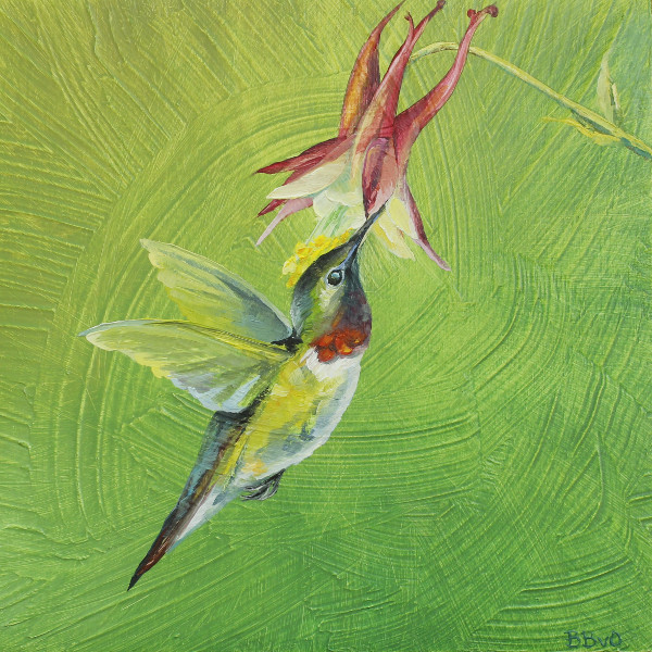 Ruby Throated Hummingbird and Columbine