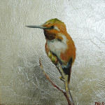 Rufous Hummingbird on Budding Branch