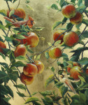 Apples and Cardinals