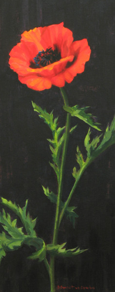 Flora's Poppy