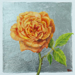 October Rose