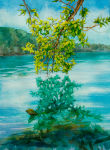 Green Reflections (Green Lakes State Park)