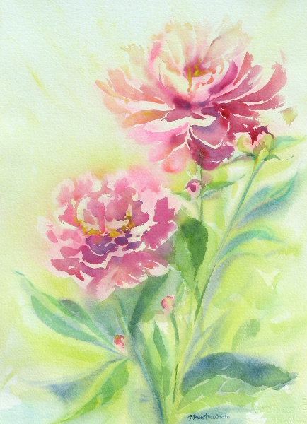Rainy Day Peonies
