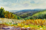 View from Here - Houghton Land Preserve